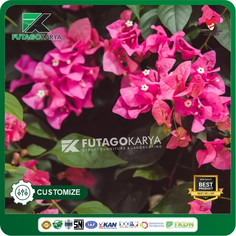Bunga Bougenvile Pink