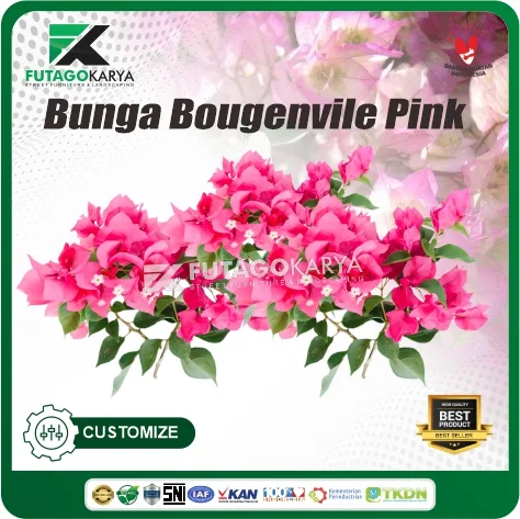 Bunga Bougenvile Pink